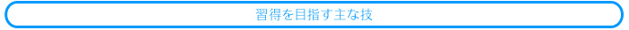 習得を目指す主な技